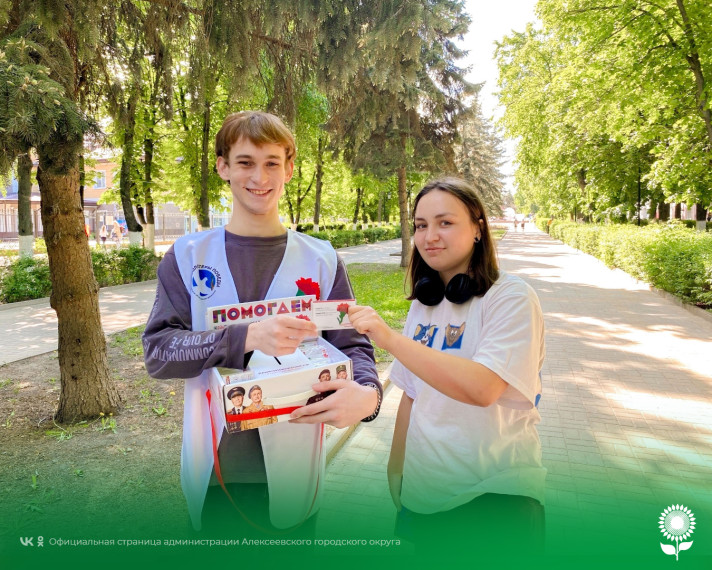 В Алексеевском городском округе проходит акция «Красная гвоздика».