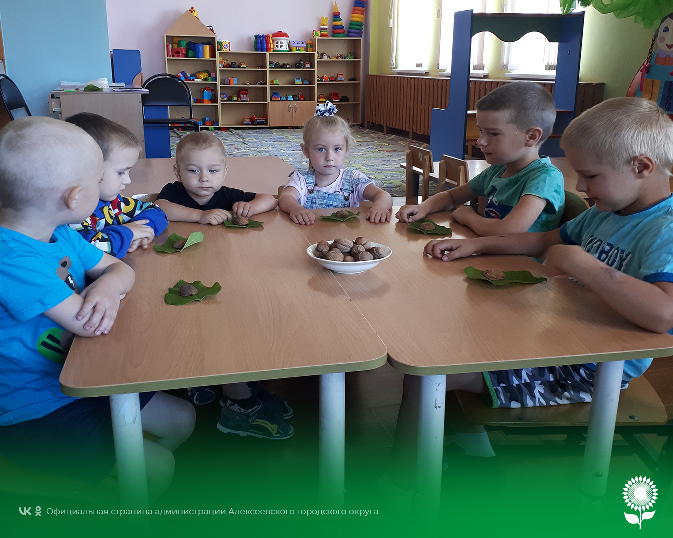 В детских садах Алексеевского городского округа прошли познавательные беседы на тему «Такие разные и такие полезные орешки».