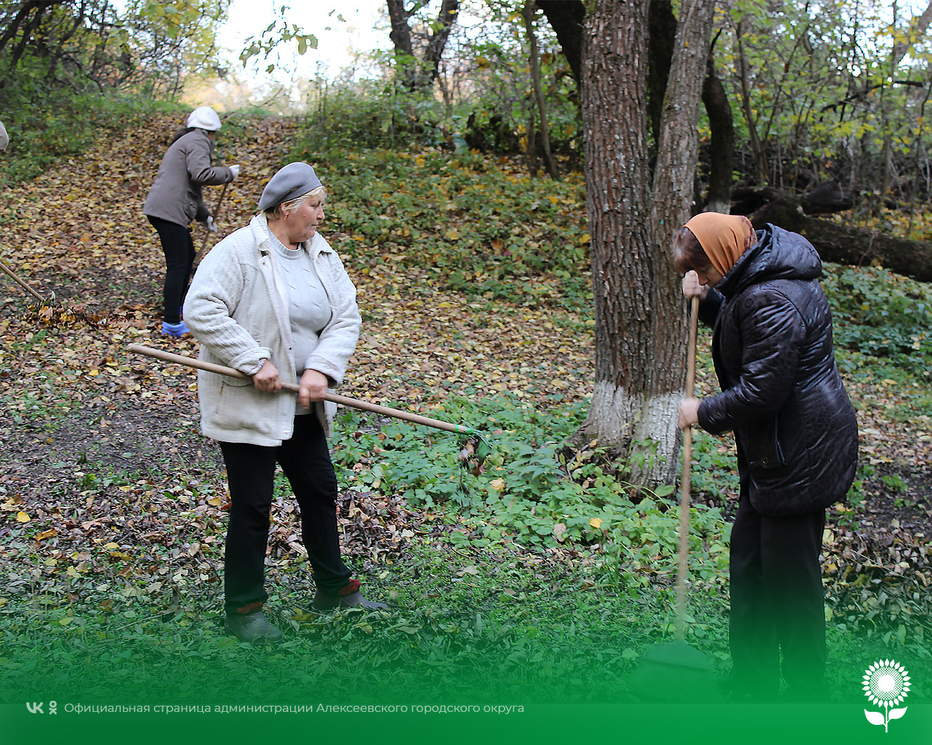 На Жуковской сельской территории прошла акция «Сохраним лес».