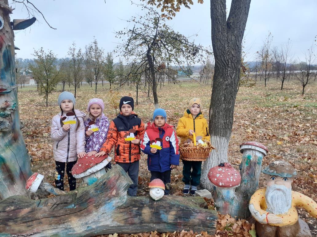 В детских садах Алексеевского городского округа прошел «грибной день», участвуя в котором воспитанники смогли почувствовать себя опытными грибниками, отправившимися в лес на «тихую охоту».