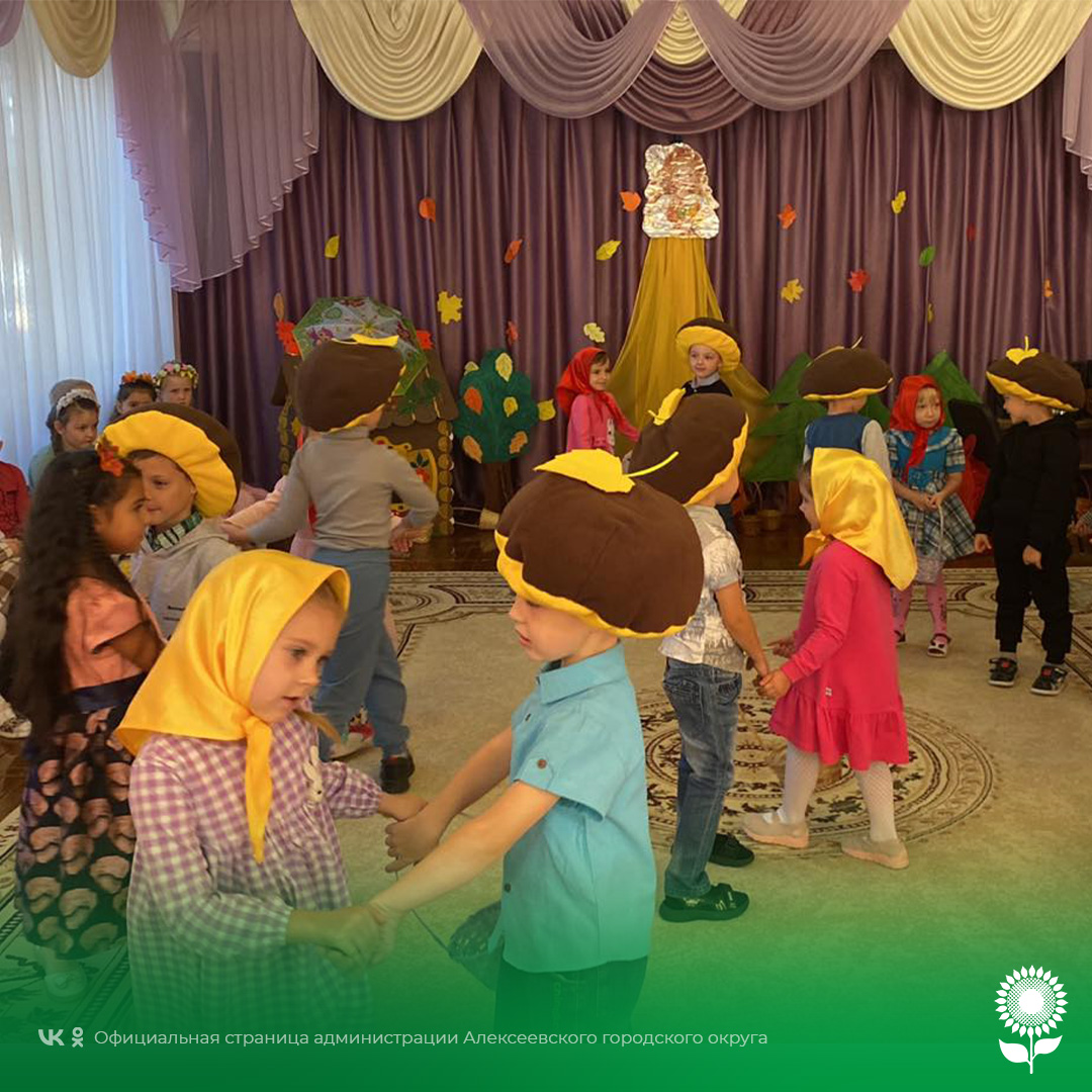В детских садах Алексеевского городского округа прошёл «грибной день».