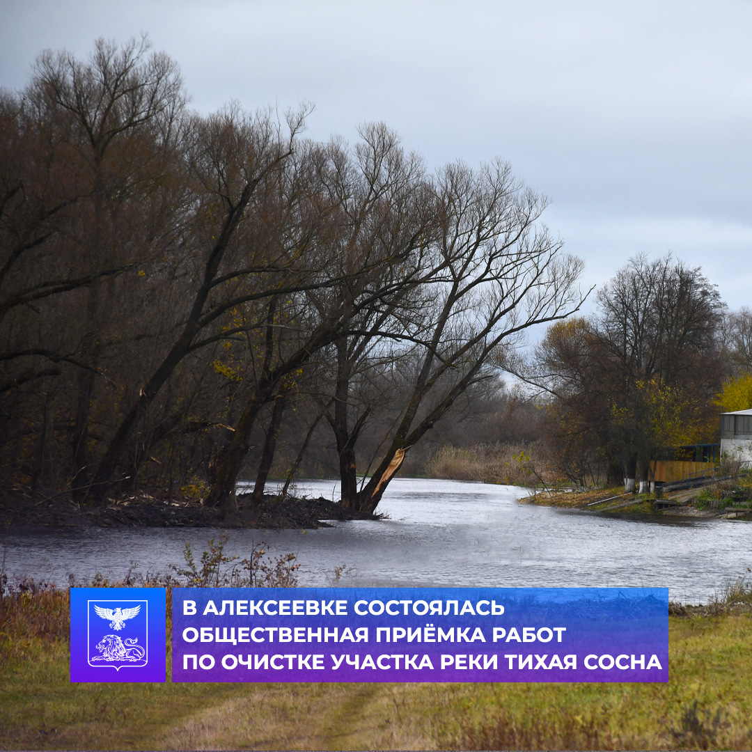 Состоялась общественная приёмка работ по очистке участка реки Тихая Сосна в городе Алексеевка.