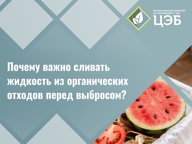 Сочная проблема: почему важно сливать жидкость из органических отходов перед выбросом.