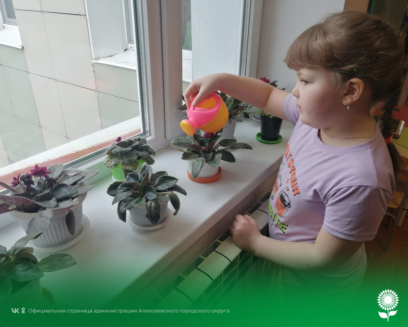 В детских садах Алексеевского городского округа прошёл День экологических знаний.