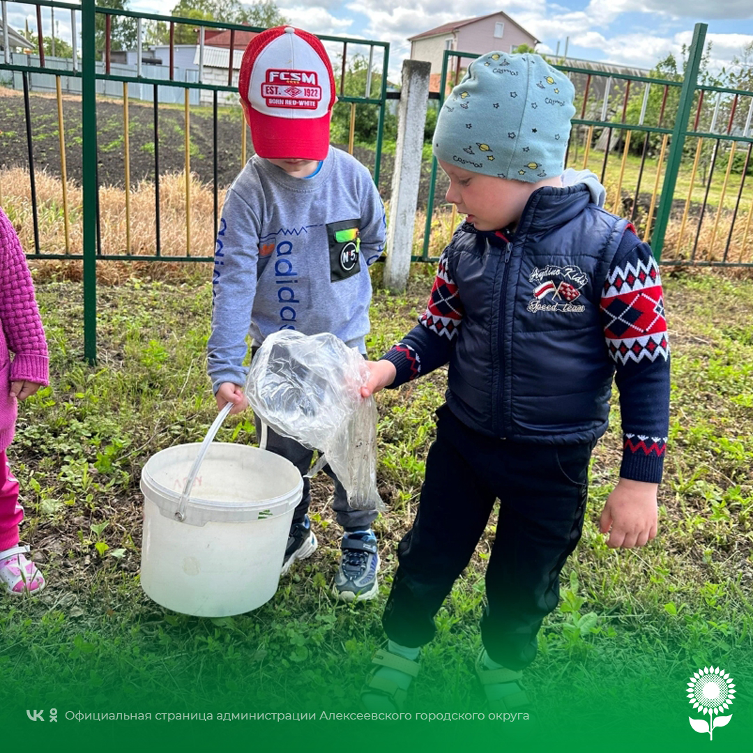 Детские сады Алексеевского городского округа присоединились ко Всемирному дню окружающей среды и провели различные мероприятия.