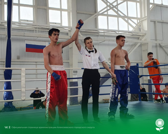 Алексеевские спортсмены приняли участие в Первенстве Белгородской области по кикбоксингу в разделе фулл контакт.